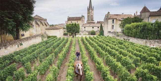 Clos Bernon Libourne Exteriör bild